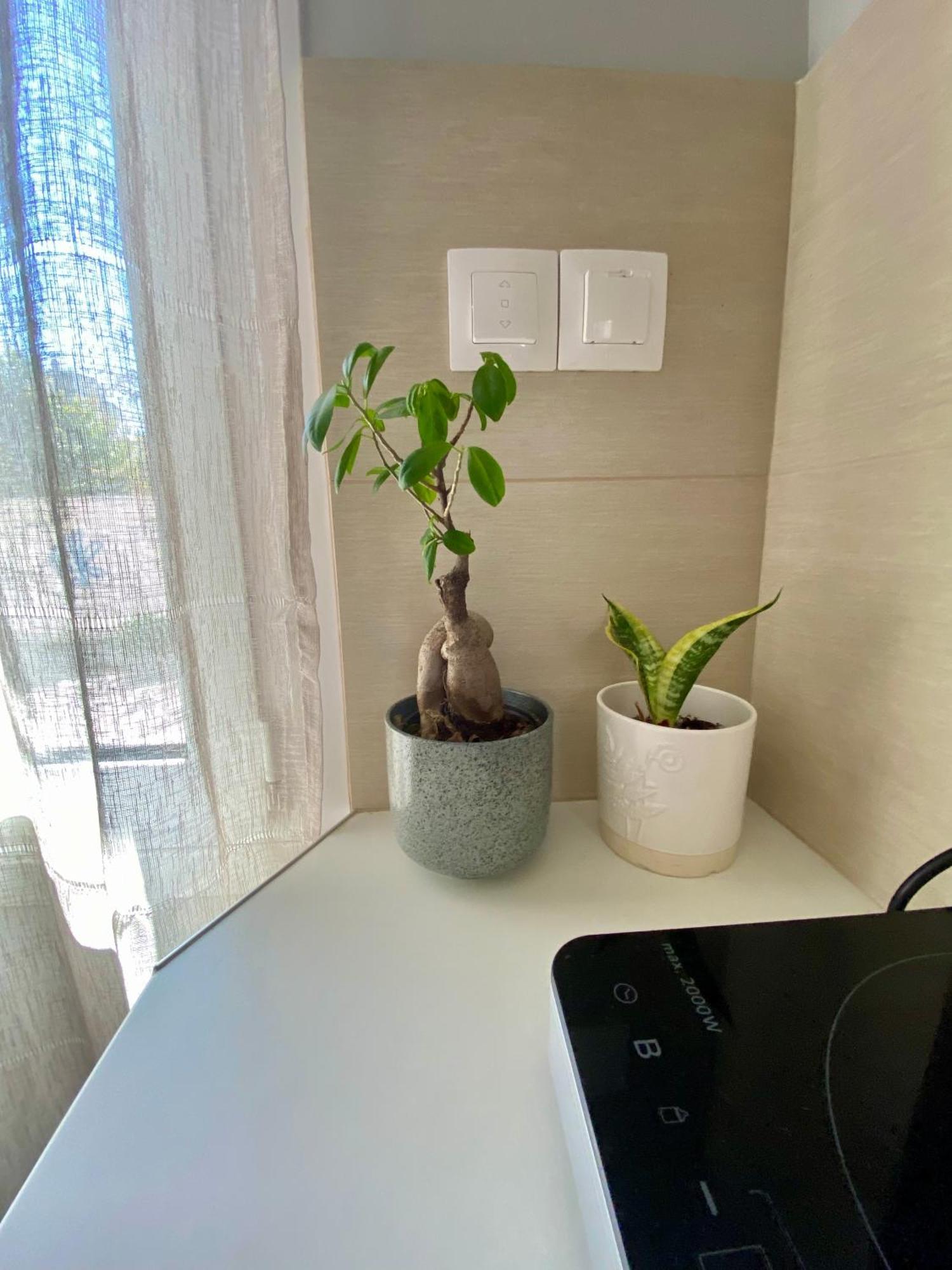 Xrysa'S Central City Apartment Missolonghi ภายนอก รูปภาพ